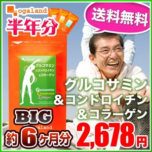 グルコサミン・コンドロイチン健康サプリ