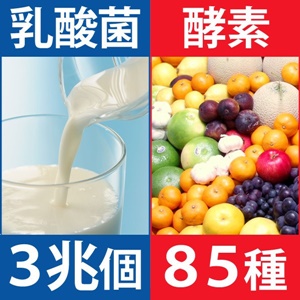 乳酸菌・酵素サプリ